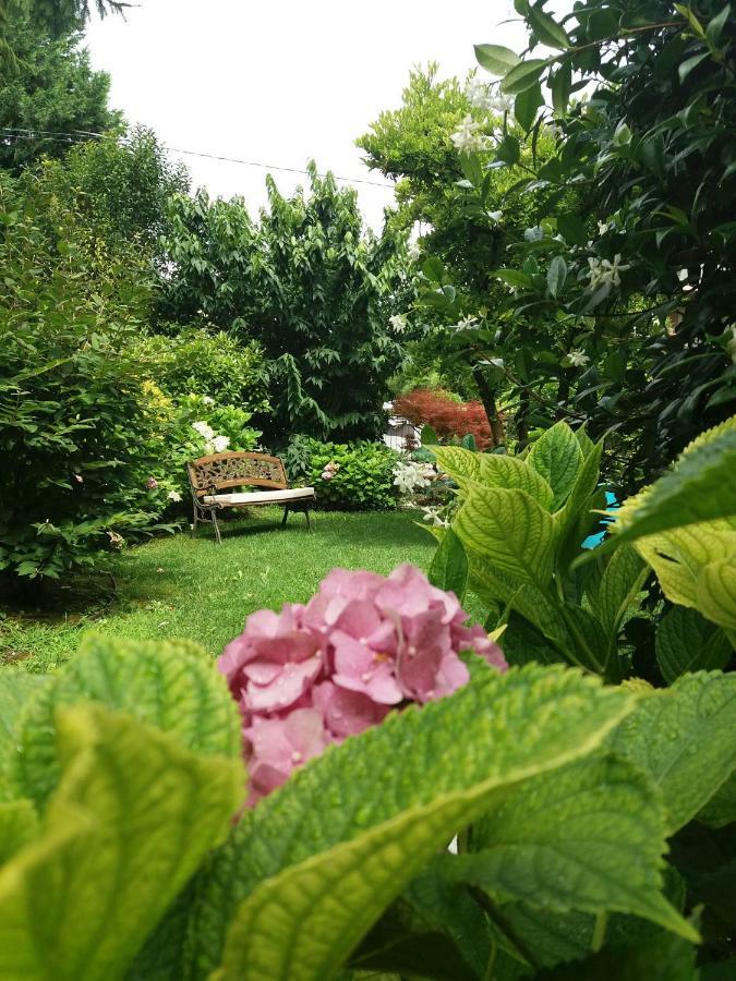 Bed and Breakfast A Casa Di Dora Treviso Zewnętrze zdjęcie